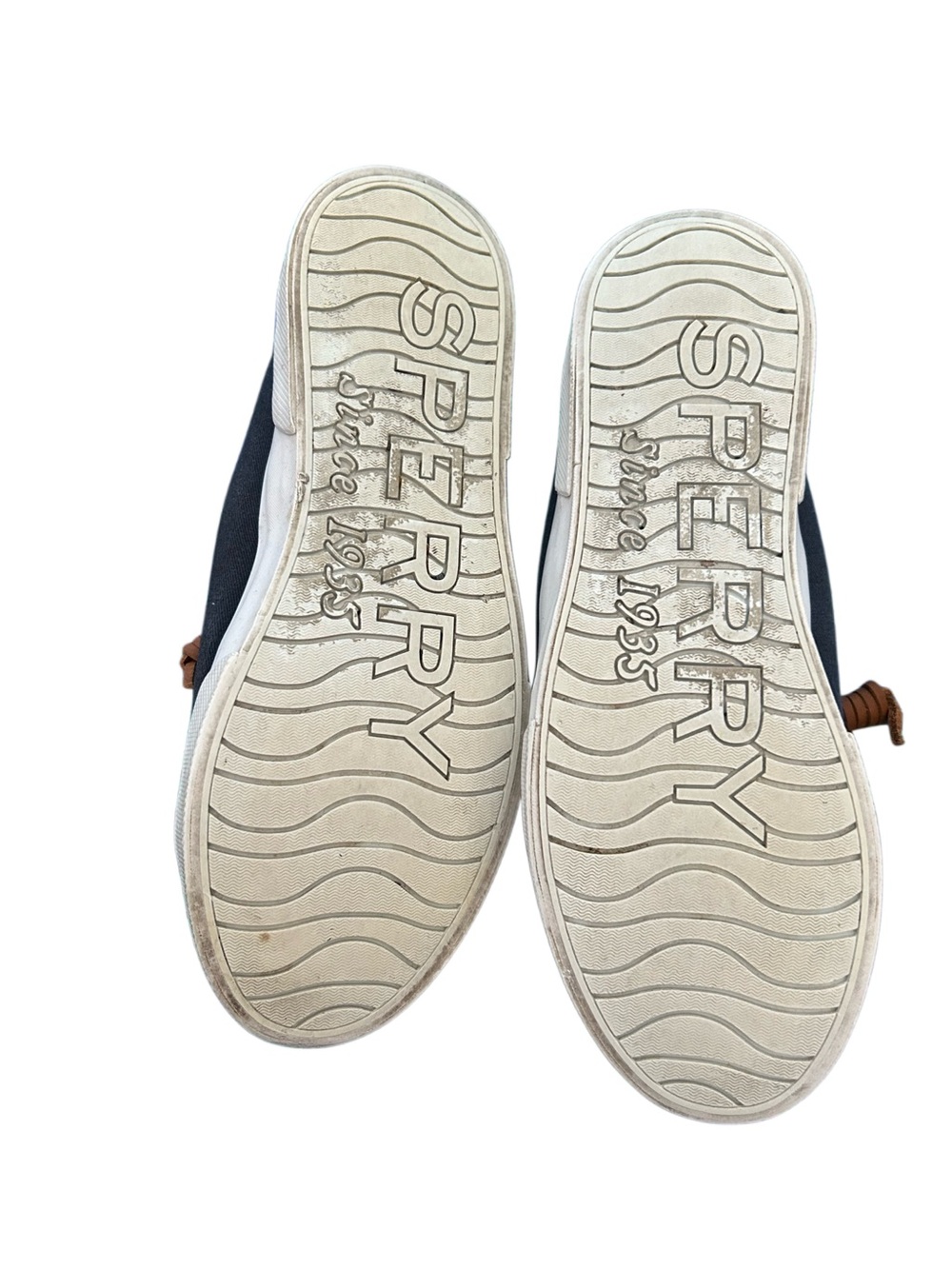 Sperry Navy Canvas Sneakers with Brown Laces - Picture 5 of 6